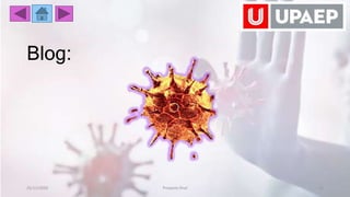 Blog:
25/11/2020 Proyecto final 11
 