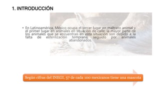 Según cifras del INEGI, 57 de cada 100 mexicanos tiene una mascota
• En Latinoamérica, México ocupa el tercer lugar en maltrato animal y
el primer lugar en animales en situación de calle; la mayor parte de
los animales que se encuentran en esta situación son debido a la
falta de esterilización temprana, seguido por animales
abandonados.
1. INTRODUCCIÓN
 