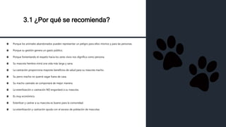 3.1 ¿Por qué se recomienda?
Porque los animales abandonados pueden representar un peligro para ellos mismos y para las personas.
Porque su gestión genera un gasto público.
Porque fomentando el respeto hacia los seres vivos nos dignifica como persona.
Su mascota hembra vivirá una vida más larga y sana.
La castración proporciona mayores beneficios de salud para su mascota macho.
Su perro macho no querrá vagar fuera de casa.
Su macho castrado se comportará de mejor manera.
La esterilización o castración NO engordará a su mascota.
Es muy económico.
Esterilizar y castrar a su mascota es bueno para la comunidad.
La esterilización y castración ayuda con el exceso de población de mascotas
 