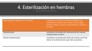 4. Esterilización en hembras
Salpingoclasia (ligadura de Trompas): consiste en cerrar las trompas de falopio que
conectan los ovarios con el útero. Es la cirugía
menos invasiva, ya que no se extraen los ovarios o
el útero.
Ovariectomía: consiste en la extracción exclusiva de los ovarios,
manteniendo el útero.
Ovario histerectomía: consiste en la extracción tanto de ovarios como de
útero. Es la intervención que más se practica.
 