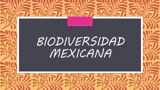BIODIVERSIDAD
MEXICANA
 