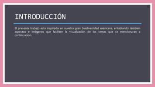 INTRODUCCIÓN
El presente trabajo esta inspirado en nuestra gran biodiversidad mexicana, entablando también
aspectos e imágenes que faciliten la visualización de los temas que se mencionaran a
continuación.
 
