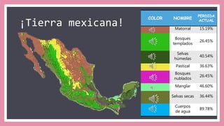¡Tierra mexicana!
COLOR NOMBRE
PERDIDA
ACTUAL
Matorral 15.19%
Bosques
templados
26.45%
Selvas
húmedas
40.54%
Pastizal 36.63%
Bosques
nublados
26.45%
Manglar 46.60%
Selvas secas 36.44%
Cuerpos
de agua
89.78%
 