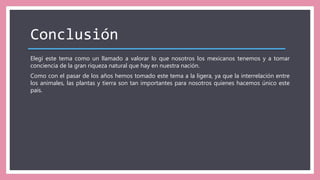 Conclusión
Elegí este tema como un llamado a valorar lo que nosotros los mexicanos tenemos y a tomar
conciencia de la gran riqueza natural que hay en nuestra nación.
Como con el pasar de los años hemos tomado este tema a la ligera, ya que la interrelación entre
los animales, las plantas y tierra son tan importantes para nosotros quienes hacemos único este
país.
 