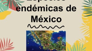 Especies
endémicas de
México
 