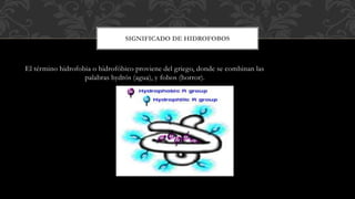El término hidrofobia o hidrofóbico proviene del griego, donde se combinan las
palabras hydrós (agua), y fobos (horror).
SIGNIFICADO DE HIDROFOBOS
 