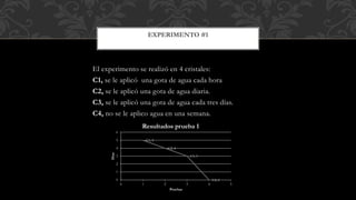 El experimento se realizó en 4 cristales:
C1, se le aplicó una gota de agua cada hora
C2, se le aplicó una gota de agua diaria.
C3, se le aplicó una gota de agua cada tres días.
C4, no se le aplico agua en una semana.
EXPERIMENTO #1
C1, 5
C2, 4
C3, 3
C4, 00
1
2
3
4
5
6
0 1 2 3 4 5
Días
Pruebas
Resultados prueba 1
 