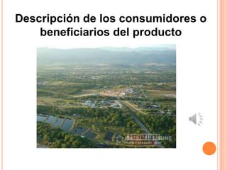 Descripción de los consumidores o
    beneficiarios del producto
 