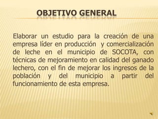 OBJETIVO GENERAL

Elaborar un estudio para la creación de una
empresa líder en producción y comercialización
de leche en el municipio de SOCOTA, con
técnicas de mejoramiento en calidad del ganado
lechero, con el fin de mejorar los ingresos de la
población y del municipio a partir del
funcionamiento de esta empresa.
 