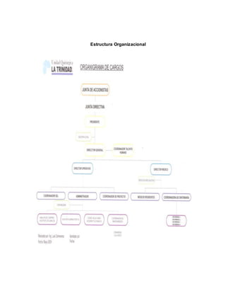 Estructura Organizacional 
 