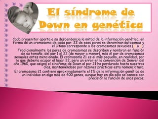 Leer sin comprender, es como comer sin digerir…comprensión