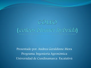 Presentado por: Andrea Geraldinne Mora
Programa: Ingeniería Agronómica
Universidad de Cundinamarca Facatativá
 