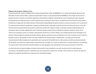 13
Objetivo del proyecto: Medios y fines.
El proyecto pretende resolver al problema sobre la baja productividad del cultivo de MEMBRILLO en el caserío de Anispampa, Distrito de San
Bernardino, Provincia de San Pablo - Cajamarca proyectándose a lograr una alta productividad de MEMBRILLO. Para el logro de esta meta se
plantea intervenir en alcanzar una eficiente organización de productores mediante el desarrollo de cursos de capacitación sobre manejo de
presupuestos para el mejoramiento de su cultura organizacional y empresarial. De esa forma, los productores de chirimoya de la zona tendrán
facilidad para la adquisición de créditos bancarios, favoreciendo la disponibilidad de capital económico y recursos (insumos) con lo cual permitirá
el incremento de la producción. Igualmente, el proyecto pretende brindar la adecuada innovación técnica en el manejo del cultivo a través del
fortalecimiento del asesoramiento técnico para la producción membrillo de calidad en donde se contratará a personal especializado para la
capacitación sobre el manejo integrado del cultivo, además de otorgar asistencia técnica individual al productor agrícola en campo. De tal
manera que el productor cuente con el apoyo y asesoramiento de técnicos en el área. Además, con la implementación de las tecnologías en las
prácticas culturales agrícolas el productor percibirá mejores ingresos económicos lo que se materializa en el acceso a servicios como luz eléctrica,
educación superior, agua potable, es decir, una mejor calidad de vida. De igual manera, se plantea que, si se mejoran las técnicas de
comercialización mediante programas de capacitación para la promoción de membrillo por las redes sociales y de ofertar productos derivados
del membrillo, los productores tendrán mejores conocimientos de mercadeo. Por lo tanto, se estará frente a mercados dinámicos y competitivos,
los cuales se harán frente tanto desarrollando productos con valor agregado como participando en ferias para promocionar el membrillo.
Los efectos directos de estas estrategias se medirán disminuyendo la sobre producción, por ende, los precios serán los adecuados para
incrementar la rentabilidad económica, motivando a que más productores se interesen en el cultivo. Esto se traduce en menorar los índices de
pobreza de la población beneficiaria con la ejecución de mencionado proyecto.
 