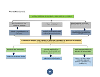 14
Árbol De Medios y Fines.
MEJORAR LA CALIDAD DE VIDA DE LOS PRODUCTORES DE MEMBRILLO
Mayor rendimiento en la
cosecha de membrillo
Mayor rentabilidad Menor uso de pesticidas, para una mejor
demanda de cultivo orgánico en el mercado.
Mejorar la calidad y textura de
los frutos.
Mejora la comercialización para
mejores ingresos económicos
Mayor conocimiento acerca de las especies y
el cuidado y fertilización adecuada que se les
dará a estas
LA COMUNIDAD DE ANISPAMPA CUENTA CON TODOS LOS MEDIOS PARA EL DESARROLLO DEL PROYECTO DEL MEJORAMIENTO
DE LA CADENA PRODUCTIVA DEL CULTIVO DE MEMBRILLO
Realización de la capacitación Interés de la población en
mejorar el rendimiento de sus
plantones
Mayor interés y colaboración
por parte de las autoridades
Integración de personal técnico
Organización de la población APOYO POR PARTE DE LAS
ENTIDADES PÚBLICAS
(MUNICIPALIDAD, MINAGRI,
AGROIDEAS)
 