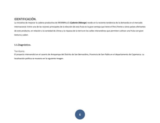 6
IDENTIFICACIÓN.
La iniciativa de mejorar la cadena productiva de MEMBRILLO (Cydonia Oblonga) reside en la reciente tendencia de la demanda en el mercado
internacional. Entre una de las razones principales de la elección de esta fruta es la gran ventaja que tiene el Perú frente a otros países ofertantes
de este producto, en relación a la variedad de climas y la riqueza de la tierra en los valles interandinos que permiten cultivar una fruta con gran
textura y sabor.
1.1.Diagnóstico.
Territorio.
El proyecto intervendrá en el caserío de Anispampa del Distrito de San Bernardino, Provincia de San Pablo en el departamento de Cajamarca. La
localización política se muestra en la siguiente imagen.
 