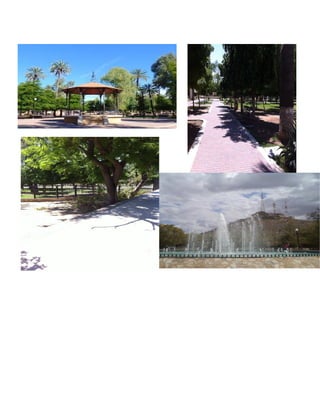 Proyecto final de observacion 1