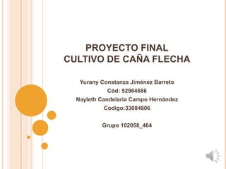 PROYECTO FINAL
CULTIVO DE CAÑA FLECHA

   Yurany Constanza Jiménez Barreto
            Cód: 52964686
  Nayleth Candelaria Campo Hernández
           Codigo:33084806


          Grupo 102058_464
 