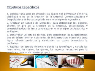 Objetivos Específicos

1. Elaborar una serie de Estudios los cuales nos permitirán definir la
viabilidad o no de la creación de la Empresa Comercializadora y
Despulpadora de fruta congelada en el municipio de Aguachica.
2. Efectuar un Estudio de Mercados, para determinar los posibles
clientes en pro de la creación de la empresa, despulpadora y
comercializadora de fruta congelada en el municipio de Aguachica y
su Región.
3. Desarrollar un estudio técnico, para determinar las características
que se deben tener en cuestiones de infraestructura y personal para
lograr ofrecer productos y cantidades las cuales demandara la
población.
4. Realizar un estudio financiero donde se identifique y calcule las
inversiones, los costos, los gastos, los ingresos necesarios para la
puesta en marcha de nuestro proyecto.
 
