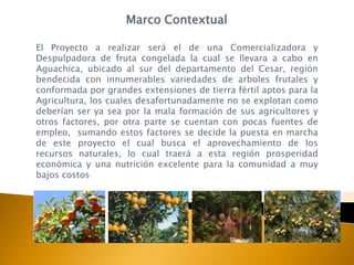Marco Contextual

El Proyecto a realizar será el de una Comercializadora y
Despulpadora de fruta congelada la cual se llevara a cabo en
Aguachica, ubicado al sur del departamento del Cesar, región
bendecida con innumerables variedades de arboles frutales y
conformada por grandes extensiones de tierra fértil aptos para la
Agricultura, los cuales desafortunadamente no se explotan como
deberían ser ya sea por la mala formación de sus agricultores y
otros factores, por otra parte se cuentan con pocas fuentes de
empleo, sumando estos factores se decide la puesta en marcha
de este proyecto el cual busca el aprovechamiento de los
recursos naturales, lo cual traerá a esta región prosperidad
económica y una nutrición excelente para la comunidad a muy
bajos costos
 