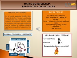 MARCO DE REFERENCIA –
                           REFERENTES CONCEPTUALES

     ORIGEN DEL PERRO?                                QUE ES PERRO?
     ORIGEN DEL PERRO?

En el portal Mascotia (2008) dice;                Es un Mamífero Domestico
  En el portal Mascotia (2008) dice;
desciende del lobo el cual era utilizado         de la familia de los Cánidos de
  desciende del lobo el cual era utilizado
por el hombre como ayudante de caza                          tamaño,
  por el hombre como ayudante de caza
aa cambio de alimento, de ésta forma         forma y pelaje muy diversos según las
     cambio de alimento, de ésta forma
en el mundo fueron surgiendo distintos                        razas.
  en el mundo fueron surgiendo distintos
tipos de caninos, lo cual permitió una           Tiene olfato muy fino y es muy
  tipos de caninos, lo cual permitió una
importante evolución al cruzarse entre                      inteligente
  importante evolución al cruzarse entre
ellos.                                                   y leal al hombre.
  ellos.



                                               UTILIDAD DE LOS PERROS?

          COMPORTAMIENTO                     • Limitación física
           COMPORTAMIENTO
                                             • Terapias
                                   EDAD
                                   EDAD
   SEXO




                                             • Cuerpos de bomberos y área policial
   SEXO




                                   RAZA
                                   RAZA




          TAMAÑO       SALUD
                        SALUD
 