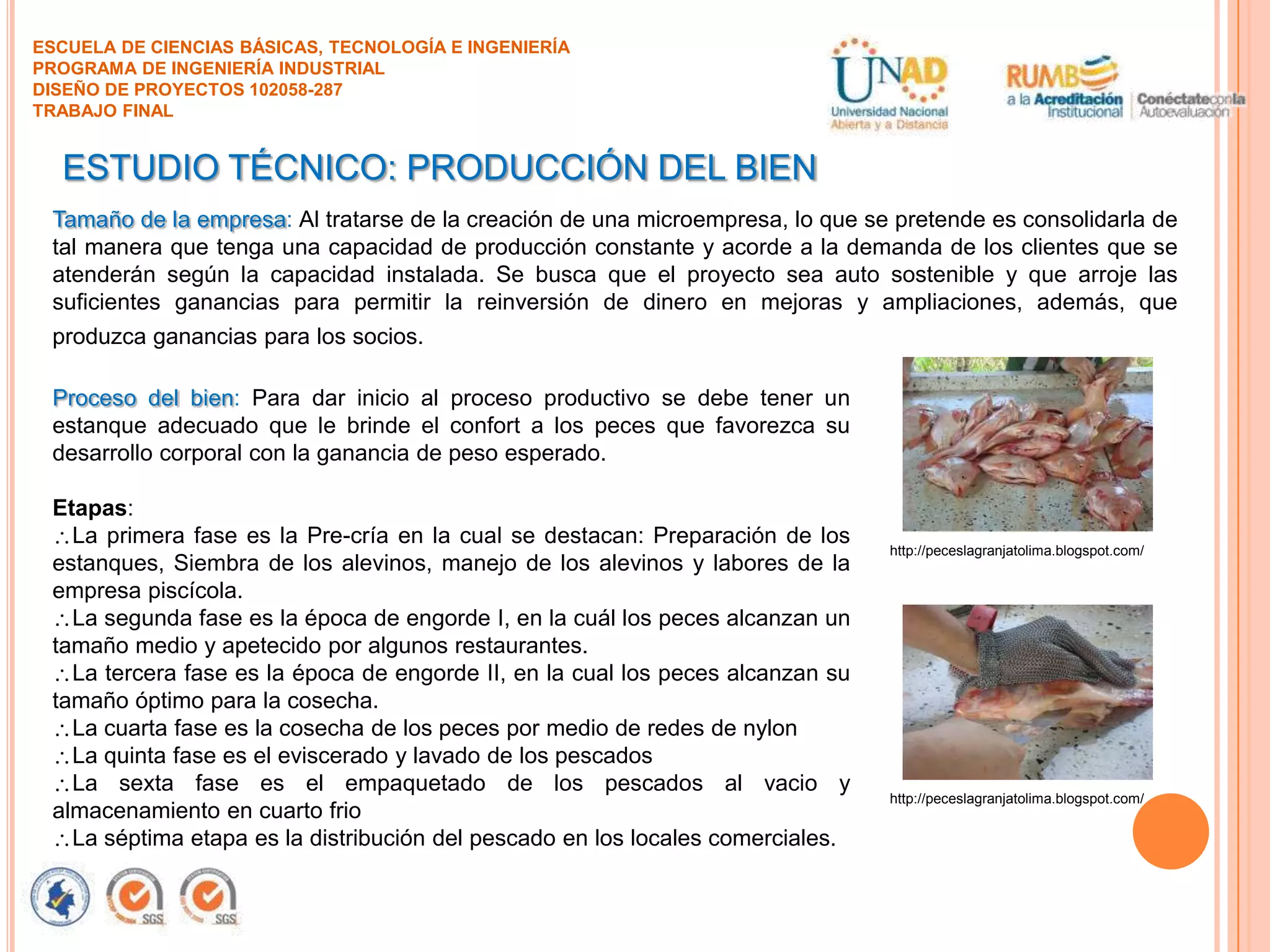 ESCUELA DE CIENCIAS BÁSICAS, TECNOLOGÍA E INGENIERÍA
PROGRAMA DE INGENIERÍA INDUSTRIAL
DISEÑO DE PROYECTOS 102058-287
TRABAJO FINAL

ESTUDIO TÉCNICO: PRODUCCIÓN DEL BIEN
Tamaño de la empresa: Al tratarse de la creación de una microempresa, lo que se pretende es consolidarla de
tal manera que tenga una capacidad de producción constante y acorde a la demanda de los clientes que se
atenderán según la capacidad instalada. Se busca que el proyecto sea auto sostenible y que arroje las
suficientes ganancias para permitir la reinversión de dinero en mejoras y ampliaciones, además, que
produzca ganancias para los socios.
Proceso del bien: Para dar inicio al proceso productivo se debe tener un
estanque adecuado que le brinde el confort a los peces que favorezca su
desarrollo corporal con la ganancia de peso esperado.
Etapas:
La primera fase es la Pre-cría en la cual se destacan: Preparación de los
estanques, Siembra de los alevinos, manejo de los alevinos y labores de la
empresa piscícola.
La segunda fase es la época de engorde I, en la cuál los peces alcanzan un
tamaño medio y apetecido por algunos restaurantes.
La tercera fase es la época de engorde II, en la cual los peces alcanzan su
tamaño óptimo para la cosecha.
La cuarta fase es la cosecha de los peces por medio de redes de nylon
La quinta fase es el eviscerado y lavado de los pescados
La sexta fase es el empaquetado de los pescados al vacio y
almacenamiento en cuarto frio
La séptima etapa es la distribución del pescado en los locales comerciales.

http://peceslagranjatolima.blogspot.com/

http://peceslagranjatolima.blogspot.com/

 