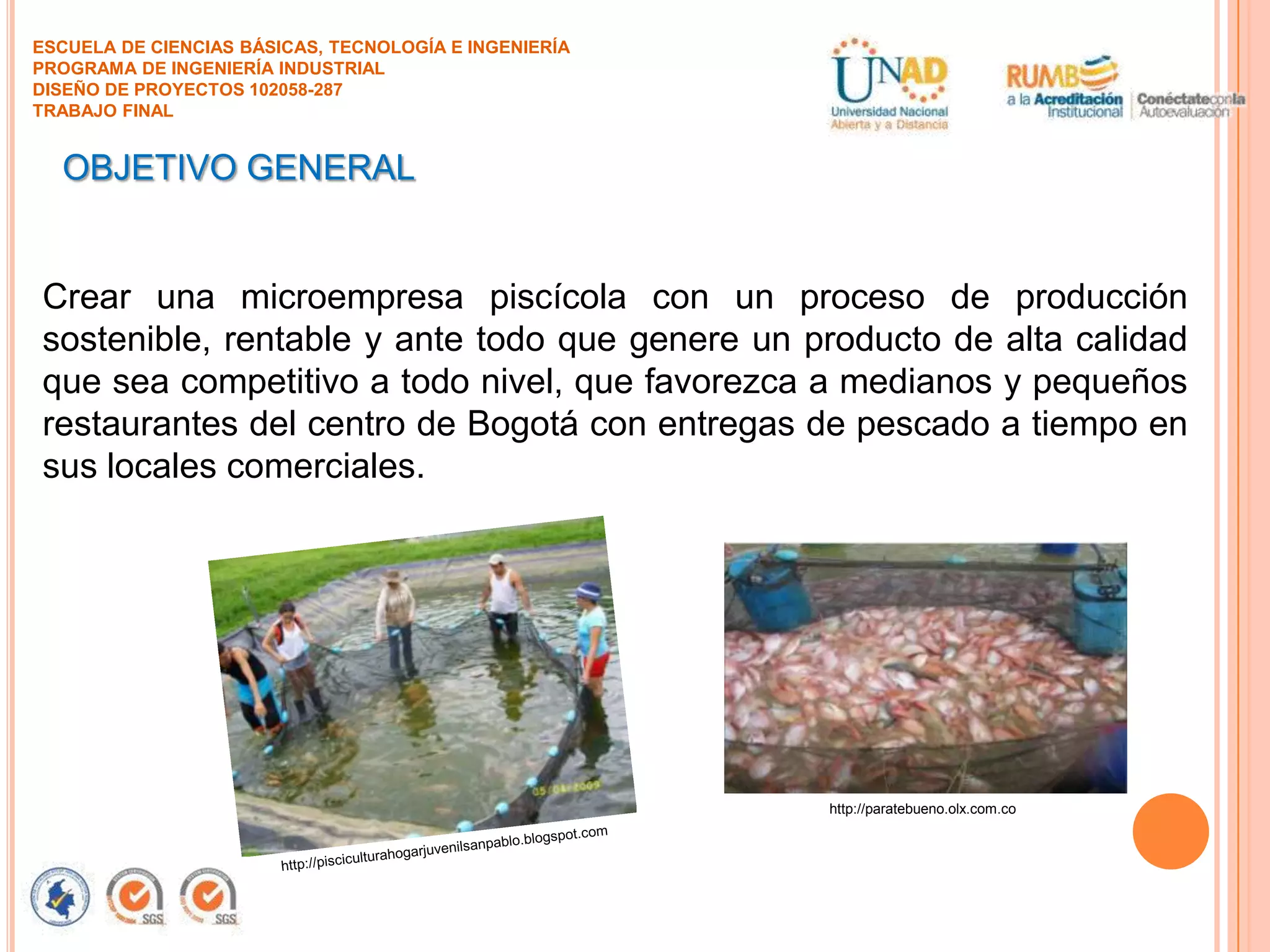 ESCUELA DE CIENCIAS BÁSICAS, TECNOLOGÍA E INGENIERÍA
PROGRAMA DE INGENIERÍA INDUSTRIAL
DISEÑO DE PROYECTOS 102058-287
TRABAJO FINAL

OBJETIVO GENERAL

Crear una microempresa piscícola con un proceso de producción
sostenible, rentable y ante todo que genere un producto de alta calidad
que sea competitivo a todo nivel, que favorezca a medianos y pequeños
restaurantes del centro de Bogotá con entregas de pescado a tiempo en
sus locales comerciales.

http://paratebueno.olx.com.co

 