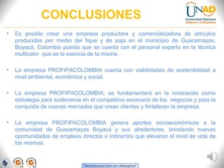 CONCLUSIONES
• Es posible crear una empresa productora y comercializadora de artículos
producidos por medio del fique y de paja en el municipio de Guacamayas,
Boyacá, Colombia puesto que se cuenta con el personal experto en la técnica
multicolor que es la esencia de la misma.
• La empresa PROFIPACOLOMBIA cuenta con viabilidades de sostenibilidad a
nivel ambiental, económica y social.
• La empresa PROFIPACOLOMBIA, se fundamentará en la innovación como
estrategia para sostenerse en el competitivo escenario de los negocios y para la
conquista de nuevos mercados que crean clientes y fortalecen la empresa.
• La empresa PROFIPACOLOMBIA genera aportes socioeconómicos a la
comunidad de Guacamayas Boyacá y sus alrededores, brindando nuevas
oportunidades de empleos directos e indirectos que elevaran el nivel de vida de
los mismos.
 