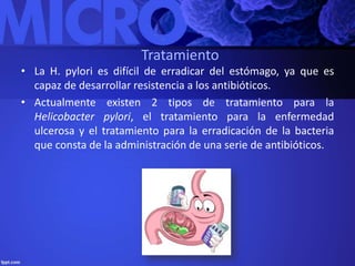 Tratamiento 
• La H. pylori es difícil de erradicar del estómago, ya que es 
capaz de desarrollar resistencia a los antibióticos. 
• Actualmente existen 2 tipos de tratamiento para la 
Helicobacter pylori, el tratamiento para la enfermedad 
ulcerosa y el tratamiento para la erradicación de la bacteria 
que consta de la administración de una serie de antibióticos. 
 