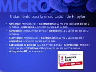 Tratamiento para la erradicación de H. pylori 
• Omeprazol 40 mg diarios + Claritromicina 500 mg tres veces por día por 2 
semanas + amoxicilina 1 g 2 veces por día por 10 días. 
• Lansoprazol 30 mg 2 veces por día + amoxicilina 1 g 3 veces por día por 2 
semanas. 
• Esomeprazol 40 mg diarios + Claritromicina 500 mg 2 veces por día + 
amoxicilina 1 g 2 veces por día por 10 días. 
• Subsalicilato de Bismuto 525 mg 4 veces por dia + Metronidazol 250 mg 4 
veces por dia+ Tetraciclina 500 mg 4 veces por dia por 2 semanas + 
Antagonistas H2 por 4 semanas. 
 