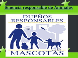 Tenencia responsable de Animales
 