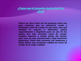 Dentro de cinco años veo mi proyecto como una gran empresa, que no solamente vende y distribuye carne de conejo en este país, sino que también la exporta a diferentes países especialmente a Argentina pues es uno de los países que más consume carne de conejo, también exportar y vender pieles del mismo, pues este es muy reenumerado y deja bastantes ganancias. Tener más convenio con empresas y poder darles una excelente calidad de carne de conejo de la mejor calidad.  