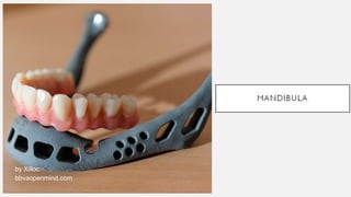 by Xilloc
bbvaopenmind.com
 