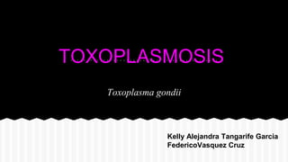 TOXOPLASMOSIS
Toxoplasma gondii
Kelly Alejandra Tangarife Garcia
FedericoVasquez Cruz
 