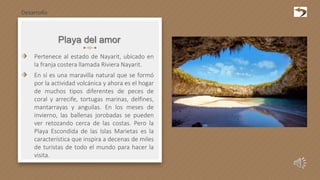 Playa del amor
⬗ Pertenece al estado de Nayarit, ubicado en
la franja costera llamada Riviera Nayarit.
⬗ En sí es una maravilla natural que se formó
por la actividad volcánica y ahora es el hogar
de muchos tipos diferentes de peces de
coral y arrecife, tortugas marinas, delfines,
mantarrayas y anguilas. En los meses de
invierno, las ballenas jorobadas se pueden
ver retozando cerca de las costas. Pero la
Playa Escondida de las Islas Marietas es la
característica que inspira a decenas de miles
de turistas de todo el mundo para hacer la
visita.
Desarrollo
 
