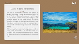 Laguna de Santa María del Oro
Uno de los principales atractivos del estado de
Nayarit es sin lugar a dudas la majestuosa laguna de
Santa María del Oro, localizada en el municipio que
lleva su mismo nombre. Esta increíble laguna esta
formada dentro de un cráter donde se siguen
filtrando minerales de los yacimientos de oro que
alguna vez existieron en el sitio. Lo que da origen a
el cambio de color de sus aguas en cierta temporada
del año.
Debido a su origen volcánico, la laguna cambia de un
color verde esmeralda a el impresionante azul
turquesa, que cautiva a todos los visitantes, quienes
no dejan de tomar las fotografías de tan maravilloso
viaje.
Desarrollo
 