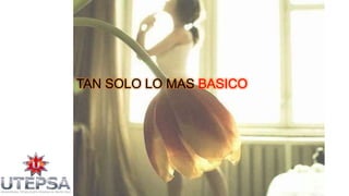 TAN SOLO LO MAS BASICO

 