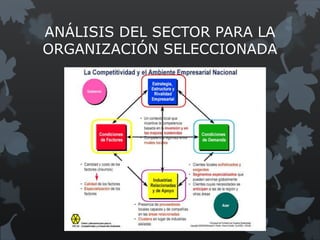 ANÁLISIS DEL SECTOR PARA LA
ORGANIZACIÓN SELECCIONADA
 