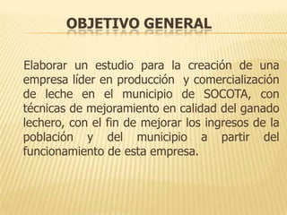 OBJETIVO GENERAL

Elaborar un estudio para la creación de una
empresa líder en producción y comercialización
de leche en el municipio de SOCOTA, con
técnicas de mejoramiento en calidad del ganado
lechero, con el fin de mejorar los ingresos de la
población y del municipio a partir del
funcionamiento de esta empresa.
 