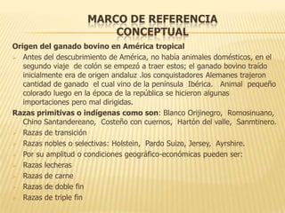 MARCO DE REFERENCIA
                         CONCEPTUAL
Origen del ganado bovino en América tropical
 Antes del descubrimiento de América, no había animales domésticos, en el
   segundo viaje de colón se empezó a traer estos; el ganado bovino traído
   inicialmente era de origen andaluz .los conquistadores Alemanes trajeron
   cantidad de ganado el cual vino de la península Ibérica. Animal pequeño
   colorado luego en la época de la república se hicieron algunas
   importaciones pero mal dirigidas.
Razas primitivas o indígenas como son: Blanco Orijinegro, Romosinuano,
   Chino Santandereano, Costeño con cuernos, Hartón del valle, Sanmtinero.
 Razas de transición

 Razas nobles o selectivas: Holstein, Pardo Suizo, Jersey, Ayrshire.

 Por su amplitud o condiciones geográfico-económicas pueden ser:

 Razas lecheras

 Razas de carne

 Razas de doble fin

 Razas de triple fin
 
