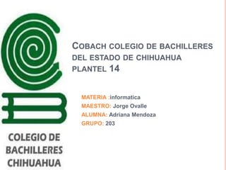 COBACH COLEGIO DE BACHILLERES
DEL ESTADO DE CHIHUAHUA
PLANTEL 14


 MATERIA :informatica
 MAESTRO: Jorge Ovalle
 ALUMNA: Adriana Mendoza
 GRUPO: 203
 