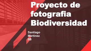 Santiago
Martinez
8B
Proyecto de
fotografia
Biodiversidad
 