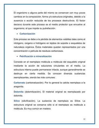 El organismo o alguna parte del mismo se conservan con muy pocos
cambios en la composición, forma y/o estructura originales, debido a la
ausencia o acción reducida de los procesos destructivos. El factor
decisivo durante este proceso es el medio protector que envuelve al
organismo, el que impide su putrefacción.
Carbonización
Este proceso se debe a la pérdida de elementos volátiles tales como el
nitrógeno, oxígeno e hidrógeno en tejidos de soporte o esqueletos de
naturaleza orgánica. Éstos materiales quedan representados por una
concentración o película de residuos carbonosos.
Petrificación o mineralización
Consiste en el reemplazo molécula a molécula del esqueleto original
mediante la acción de soluciones circulantes en el medio. La
estructura interna puede permanecer intacta, aunque generalmente se
destruye

en

cierta

medida.

Se

conocen

diversas

sustancias

reemplazantes, siendo las más comunes:
Carbonato (carbonatización). Por lo general la calcita reemplaza a la
aragonita.
Dolomita (dolomitización). El material original es reemplazado por
dolomita.
Sílice (silicificación). La sustancia de reemplazo es Sílice. La
estructura original se conserva sólo si el reemplazo es molécula a
molécula. Es muy común en madera.

12

 