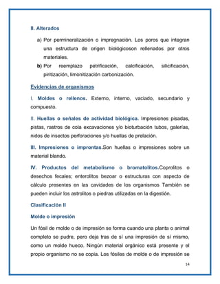 II. Alterados
a) Por permineralización o impregnación. Los poros que integran
una estructura de origen biológicoson rellenados por otros
materiales.
b) Por

reemplazo

petrificación,

calcificación,

silicificación,

piritización, limonitización carbonización.
Evidencias de organismos
I. Moldes o rellenos. Externo, interno, vaciado, secundario y
compuesto.
II. Huellas o señales de actividad biológica. Impresiones pisadas,
pistas, rastros de cola excavaciones y/o bioturbación tubos, galerías,
nidos de insectos perforaciones y/o huellas de prelación.
III. Impresiones o improntas.Son huellas o impresiones sobre un
material blando.
IV. Productos del metabolismo o bromatolitos.Coprolitos o
desechos fecales; enterolitos bezoar o estructuras con aspecto de
cálculo presentes en las cavidades de los organismos También se
pueden incluir los astrolitos o piedras utilizadas en la digestión.
Clasificación II
Molde o impresión
Un fósil de molde o de impresión se forma cuando una planta o animal
completo se pudre, pero deja tras de sí una impresión de sí mismo,
como un molde hueco. Ningún material orgánico está presente y el
propio organismo no se copia. Los fósiles de molde o de impresión se
14

 