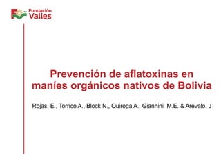 Prevención de aflatoxinas en maníes orgánicos nativos de Bolivia Rojas, E., Torrico A., Block N., Quiroga A., Giannini  M.E. & Arévalo. J 