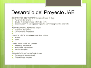 Desarrollo del Proyecto JAE
DIAGNOSTICO DEL TERRENO tiempo estimado 15 días.
 Topografía del terreno.
 Estudio de componentes y estado del suelo.
 Caracterización de las especies vegetales y animales presentes en el lote.

ADECUACION DEL TERRENO. 10 días
 Nivelación topográfica
 Ordenamiento del espacio

CONSTRUCCIÓN E IMPLEMENTACIÓN 20 días
 Huerta
 Vivero

COMPONENTE SOCIAL 2 meses
 Seguridad Alimentaria
 Apropiación del territorio
 Mercados limpios

SEGUIMIENTO Y EVALUACIÓN 30 días.
 Estrategia de sostenibilidad
 Evaluación del proceso
 