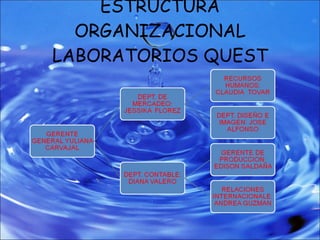 ESTRUCTURA ORGANIZACIONAL LABORATORIOS QUEST 