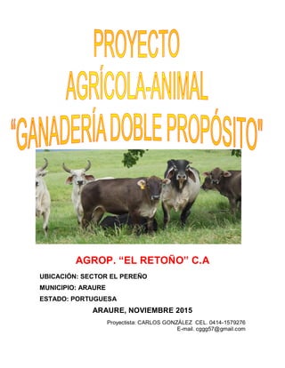 AGROP. “EL RETOÑO” C.A
UBICACIÓN: SECTOR EL PEREÑO
MUNICIPIO: ARAURE
ESTADO: PORTUGUESA
ARAURE, NOVIEMBRE 2015
Proyectista: CARLOS GONZÁLEZ CEL. 0414-1579276
E-mail. cggg57@gmail.com
 