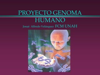 PROYECTO GENOMA HUMANO Josué  Alfredo Velásquez  FCM UNAH 