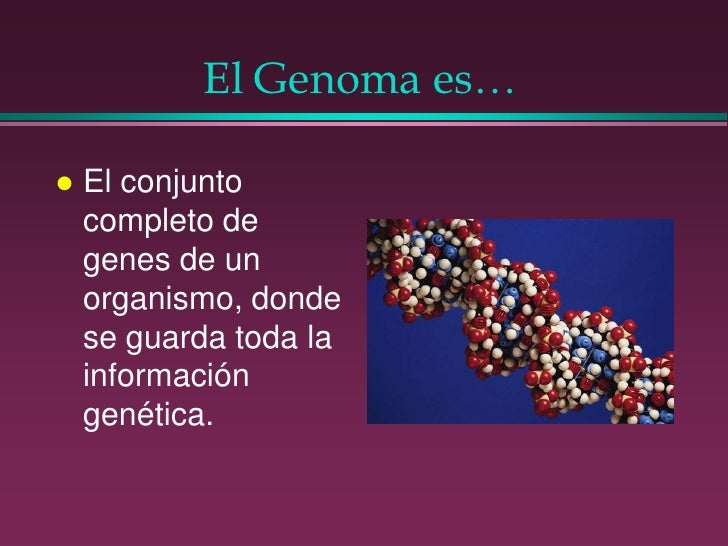 Como Se Denomina O Conjunto De Genes De Um Organismo