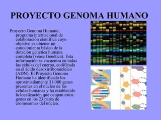 PROYECTO GENOMA HUMANO   ,[object Object]
